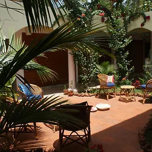 https://ashiyana-cliff-and-beach-resort.kerala-hotels.net